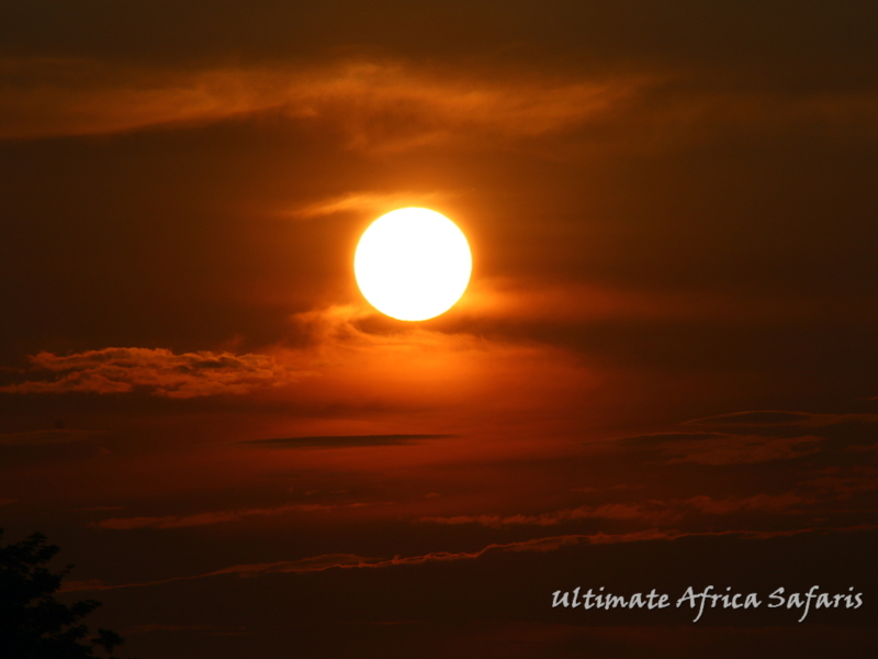 Kenya Safaris