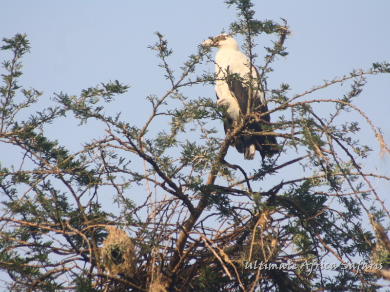 Lake Mburo National Park