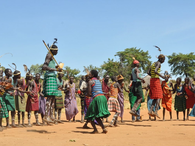 Kenya Safaris